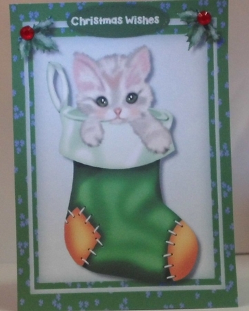 Cute Cat in a Boot by Hazel Underwood