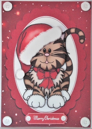 Gorgeous Santa Cat by Hazel Underwood