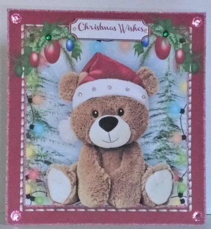 Adorable Teddy with Christmas Lights  by Hazel Underwood