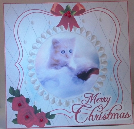 CHRISTMAS KITTEN 1 by Hazel Underwood