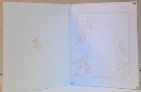 KIDDIES COMPLETE CARD INSERT by Hazel Underwood