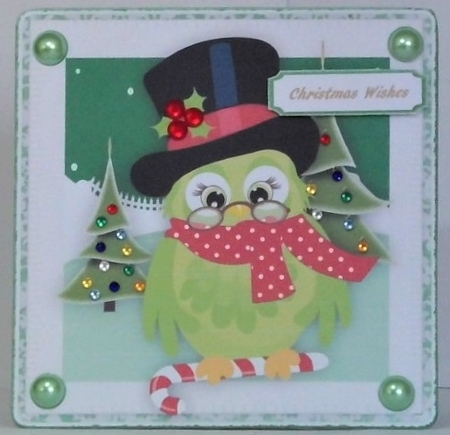 Cute Grampa Owl  by Hazel Underwood