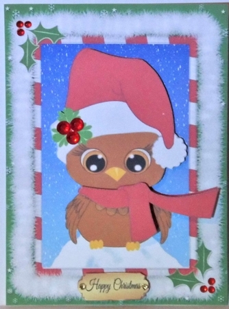 Beautiful Robin In Santa Hat by Hazel Underwood