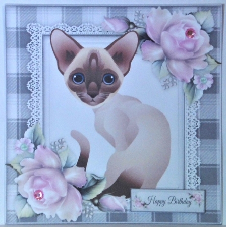 Siamese Cat With Pink Roses 8x8 by Hazel Underwood