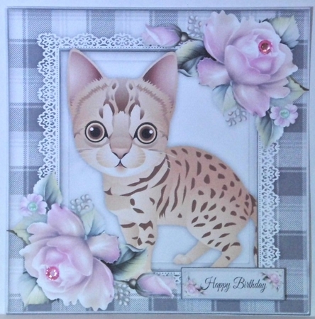 Gorgeous Ginger Spotty Cat With Pink Roses 8x8 by Hazel Underwood