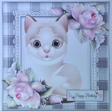 Adorable Grey & White Cat 8x8 by Hazel Underwood