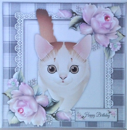 Gorgeous Ginger & White Cat 8x8 by Hazel Underwood