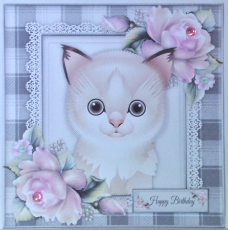 Cute Cream Cat 8x8 by Hazel Underwood