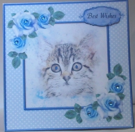 Cute Cat by Hazel Underwood