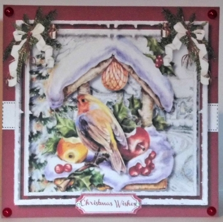 Beautiful Robin on the Fruit Table  by Hazel Underwood