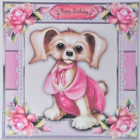 Gorgeous Dog In Pink Coat 8x8 by Hazel Underwood