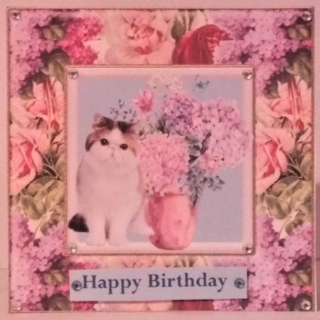 Fluffy Cat and Flowers by Hazel Underwood