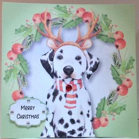 Dalmation Christmas Wishes 8x8 by Hazel Underwood