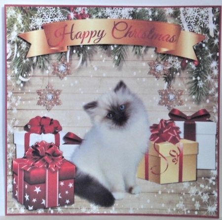 RAGDOLL KITTEN CHRISTMAS MINI KIT by Hazel Underwood