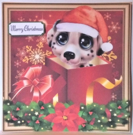 Beautiful Puppy In A Box 8x8 by Hazel Underwood