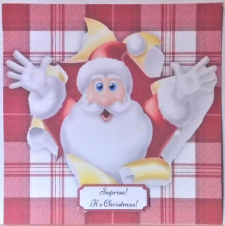 Suprise! Its Christmas! 8x8 by Hazel Underwood