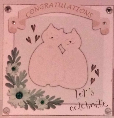 Cats - lets celebrate Featured Gallery Photo