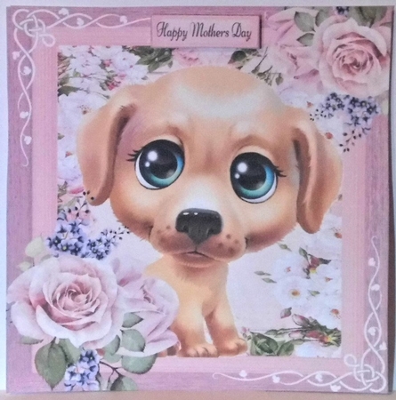 Beautiful Blue Eyed Brown Puppy 8x8 by Hazel Underwood