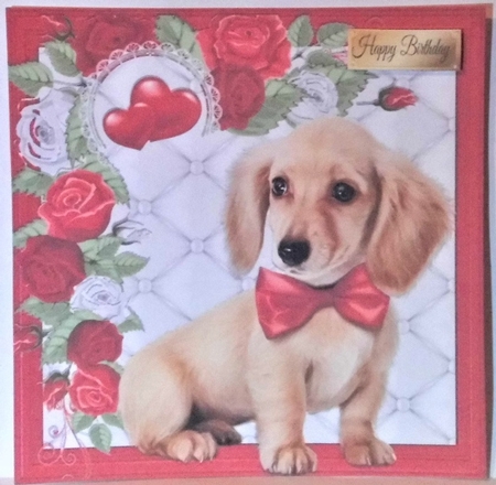 Gorgeous Fluffy Dog 8x8 by Hazel Underwood
