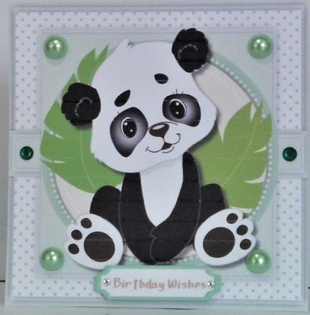 Adorable Panda  by Hazel Underwood