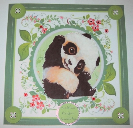 Cute Posing Panda 8x8 by Hazel Underwood