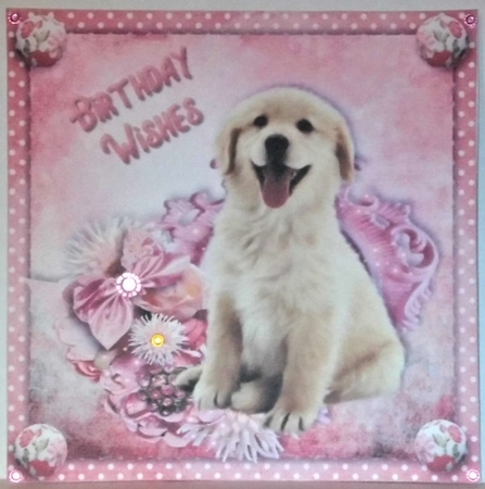 7x7 Birthday puppy  by Hazel Underwood
