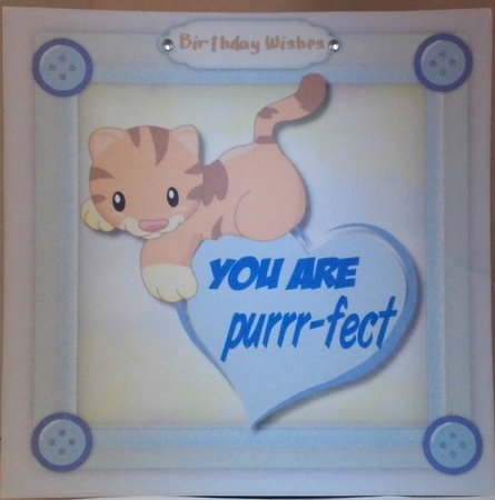 Love You ,Baby Kitty by Hazel Underwood