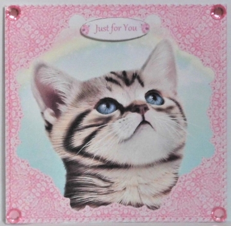 Rainbow Tabby Kitten Cat, Lace Corner Stacker Card Topper by Hazel Underwood