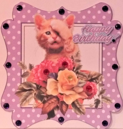 cute kitten with roses/flowers in purple polkadot frame by Hazel Underwood
