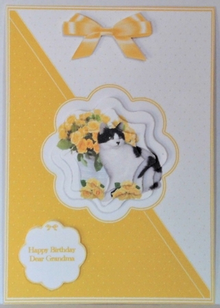 Yellow & white A5 cat and flowers card front by Hazel Underwood