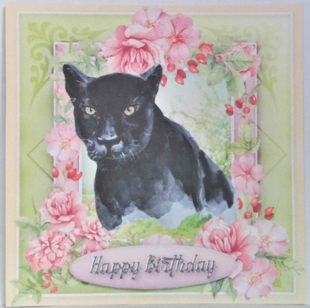 Happy Birthday card collection by Hazel Underwood
