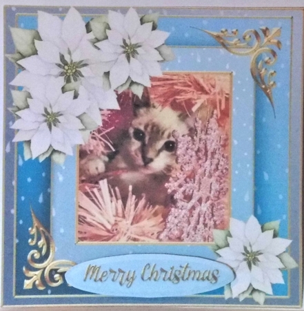 Christmas cat quick card  by Hazel Underwood