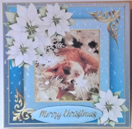 Christmas cat quick card  by Hazel Underwood