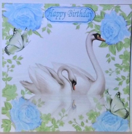 pretty swans with reflection in blue rose frame 8x8 by Hazel Underwood