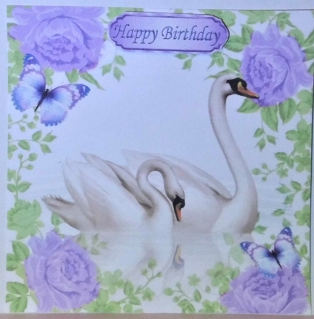 pretty swans with reflection in lilac rose frame 8x8 by Hazel Underwood