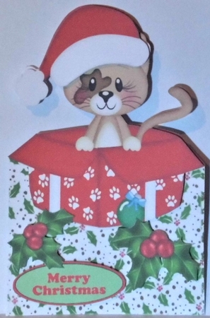 Cute little kitty in a santa hat in  xmas box with holly over the edge by Hazel Underwood
