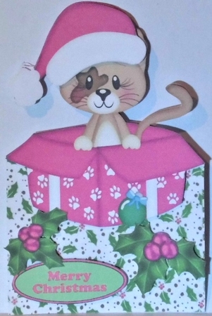 Cute little kitty in a pink santa hat in  xmas box with holly over the edge by Hazel Underwood