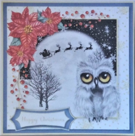 Twit Twoo Christmas 3 by Hazel Underwood