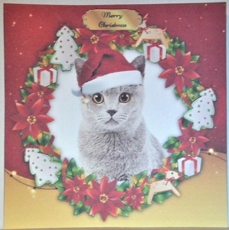 Gorgeous Grey Cat In Santa Hat 8x8 by Hazel Underwood