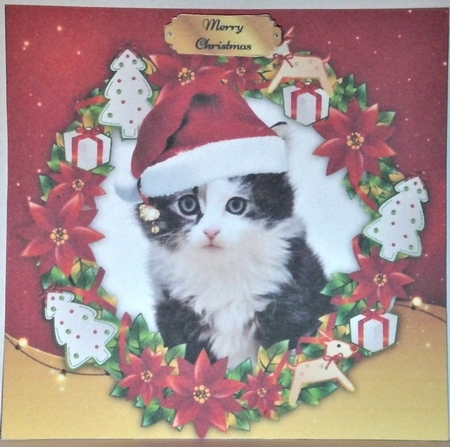 Gorgeous Gray And White Kitten In Santa Hat 8x8 by Hazel Underwood