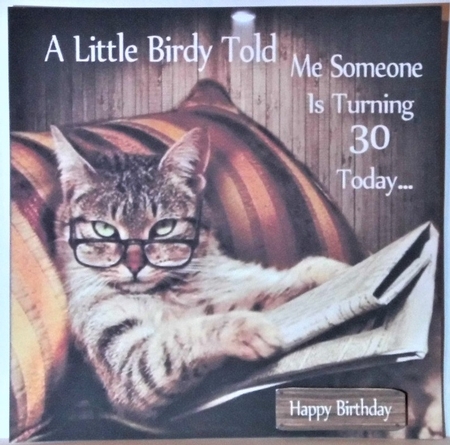 A Little Birdy Told Me Someones Turning 30 Today 8x8 by Hazel Underwood