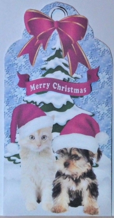 Cute kitten & Puppy in pink santa hats in the snow on a tag by Hazel Underwood