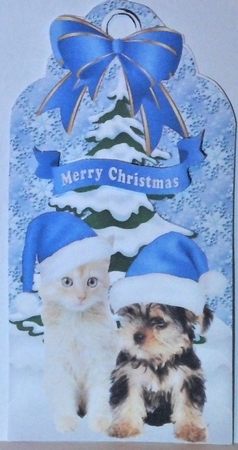 Cute kitten & Puppy in blue santa hats in the snow on a tag by Hazel Underwood