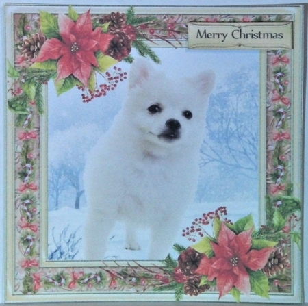 Gorgeous White Fluffy Dog Christmas 6x6 by Hazel Underwood