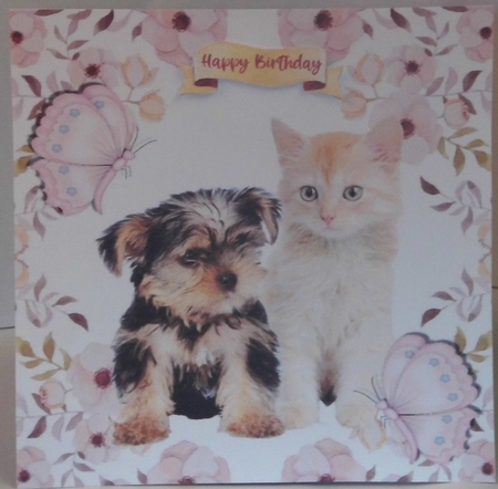 Sweet little yorkie puppy/ kitten in flower with butterflies frame 8x8 by Hazel Underwood