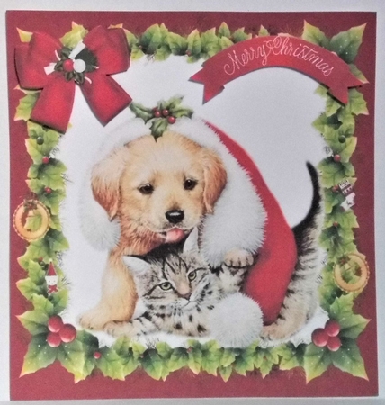 snuggled up in a santa hat a cute kitten and puppy 8x8 by Hazel Underwood