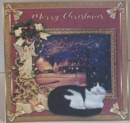  7x7 Merry Christmas Cat Bumper kit  by Hazel Underwood