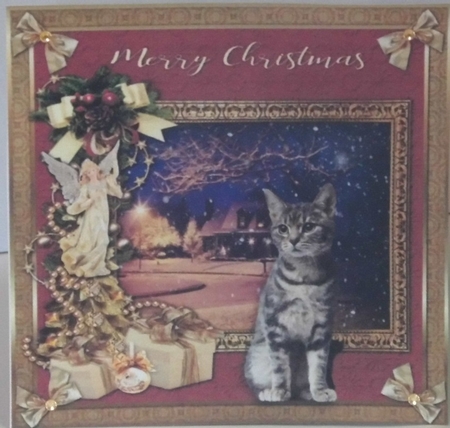  7x7 Merry Christmas Cat Bumper kit  by Hazel Underwood
