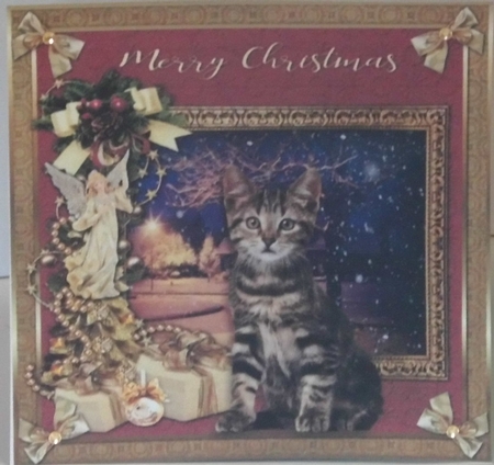  7x7 Merry Christmas Cat Bumper kit  by Hazel Underwood