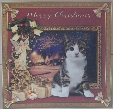  7x7 Merry Christmas Cat Bumper kit  by Hazel Underwood